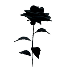 Cargar imagen en el visor de la galería, ROSA NEGRA TERCIOPELO