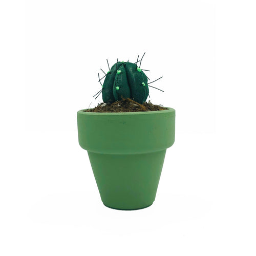 Mini Cactus