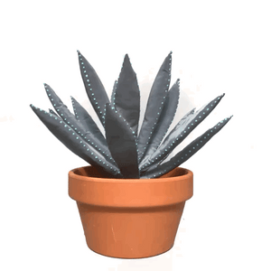 ALOE VERA REFLECTANTE