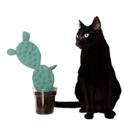 Cactus Chumbera