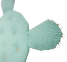 Cargar imagen en el visor de la galería, Cactus Chumbera