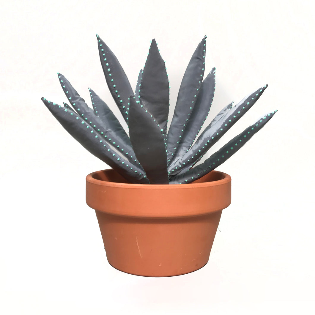 ALOE VERA REFLECTANTE