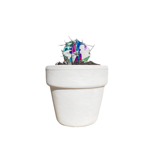 Mini Cactus Brillos Metalizados