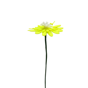 MARGARITAS FLÚOR