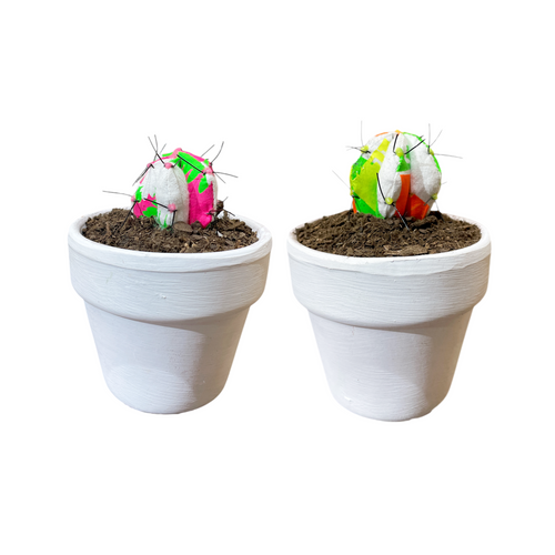 Mini Cactus FLÚOR RRRR