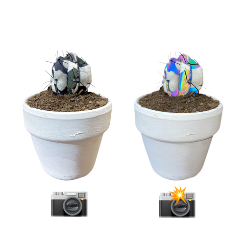 Mini Cactus REFLECTANTE RRRR