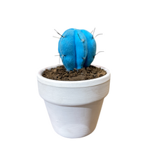 Cargar imagen en el visor de la galería, Mini Cactus GLOW