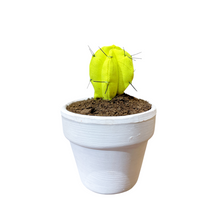 Cargar imagen en el visor de la galería, Mini Cactus GLOW