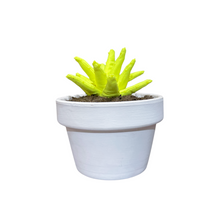 Cargar imagen en el visor de la galería, ALOE VERA