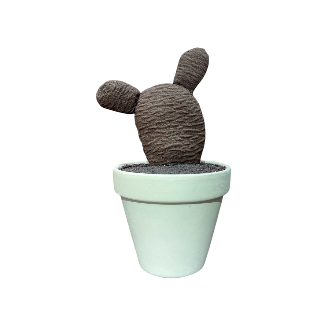 CACTUS CHUMBERA