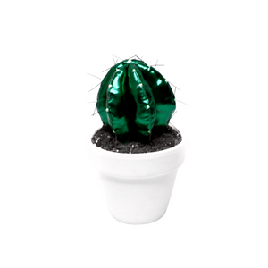 CACTUS ESCARABAJO ¨ Cuando la Flora quiere ser Fauna ¨
