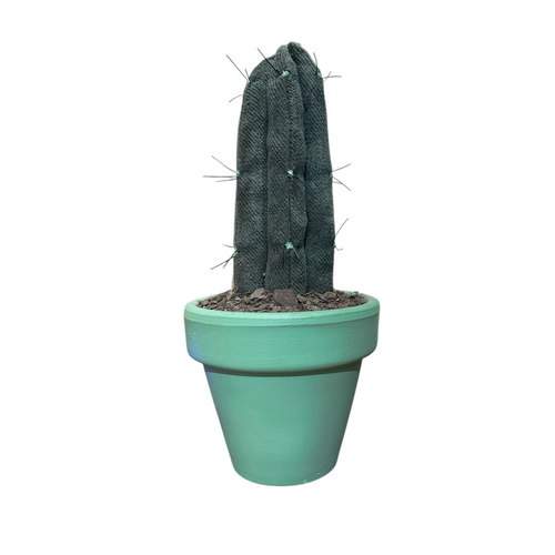 San Pedro