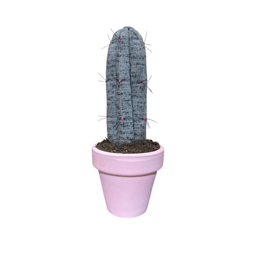 San Pedro