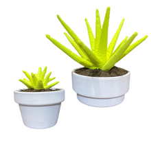Cargar imagen en el visor de la galería, ALOE VERA
