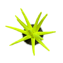 Cargar imagen en el visor de la galería, ALOE VERA