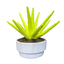 Cargar imagen en el visor de la galería, ALOE VERA