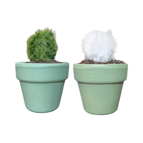 Mini Cactus PELUCHE