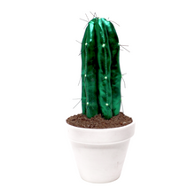 Cargar imagen en el visor de la galería, CACTUS ESCARABAJO ¨ Cuando la Flora quiere ser Fauna ¨