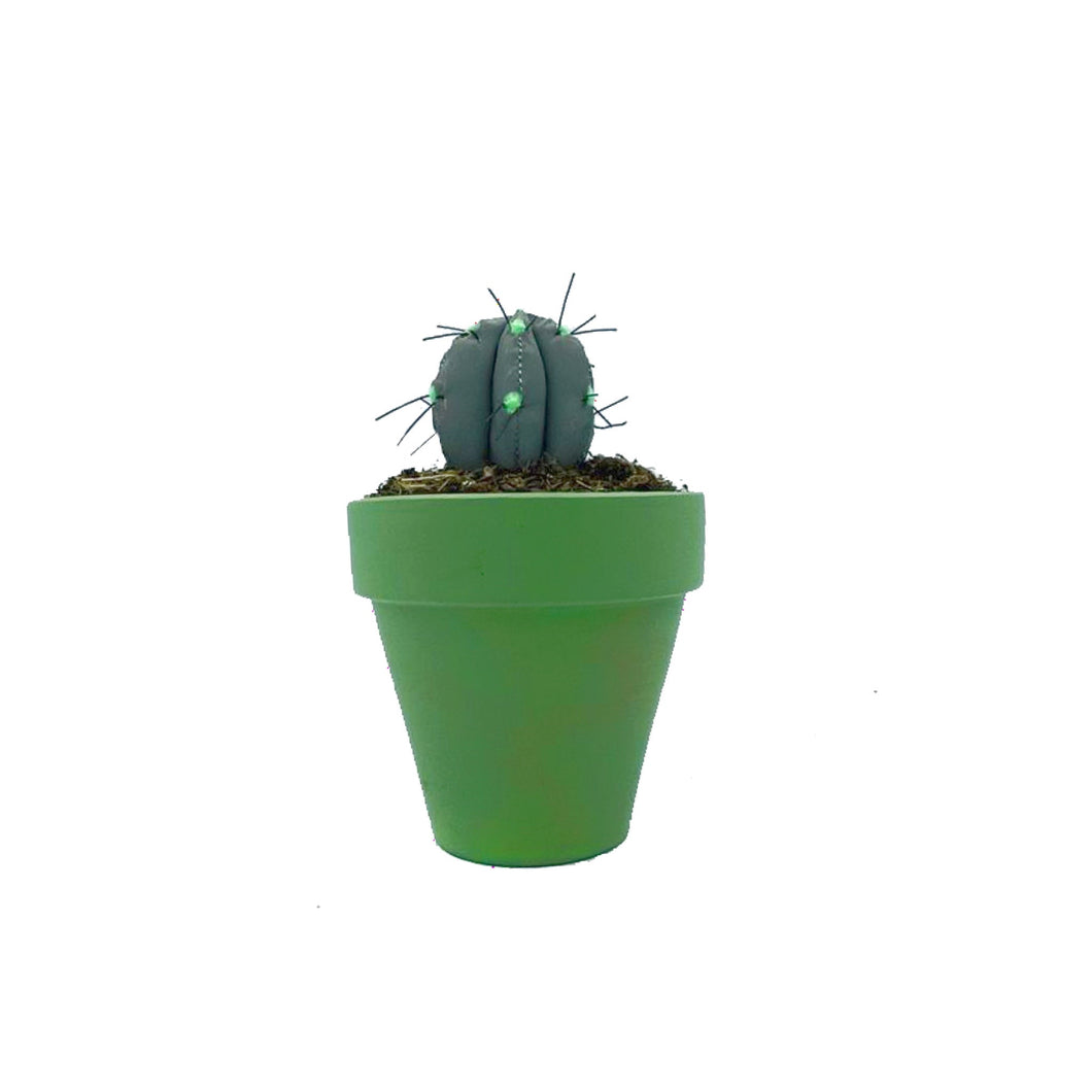 Mini Cactus - Reflectante