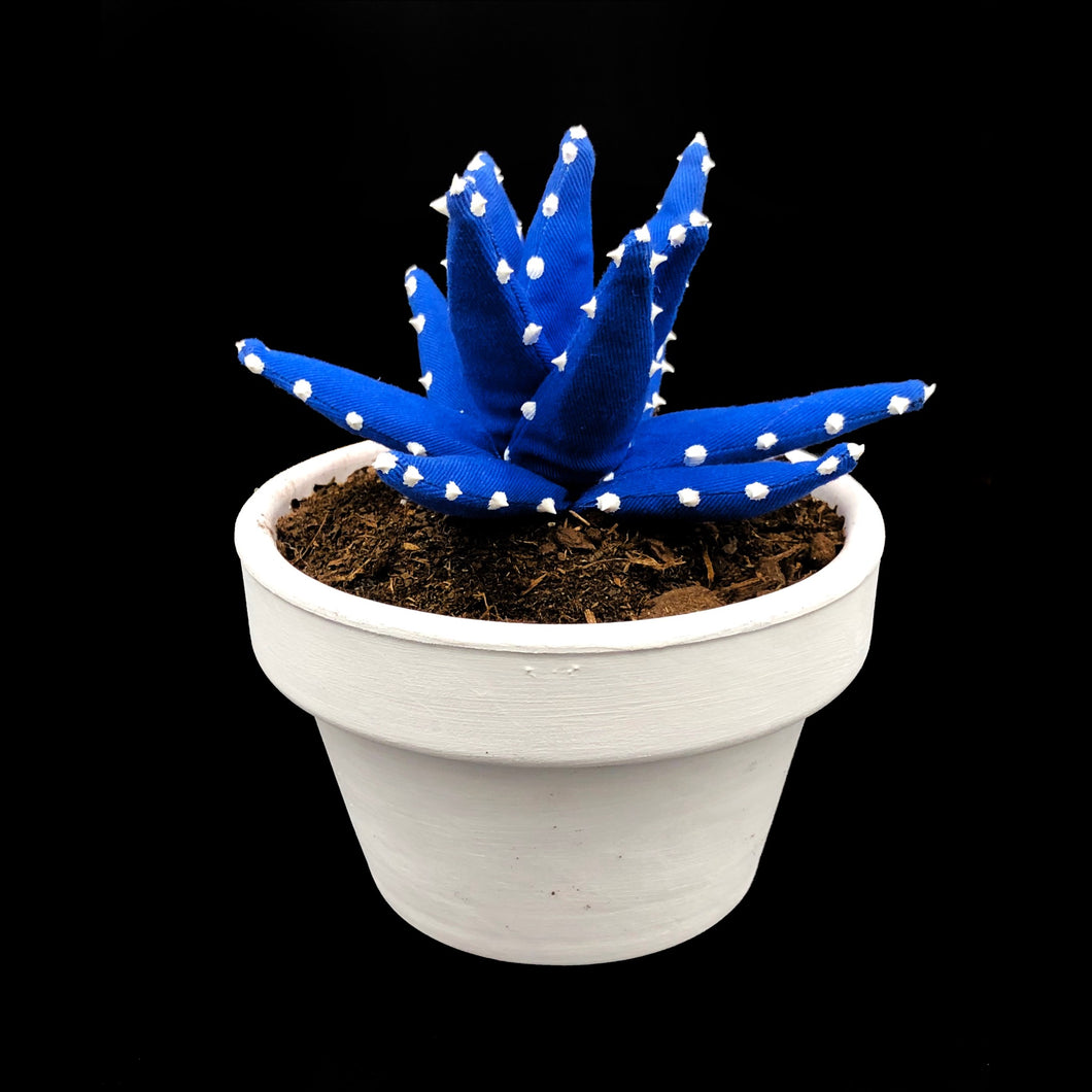 Aloe Vera - S - Colección BÁSICOS / Azul