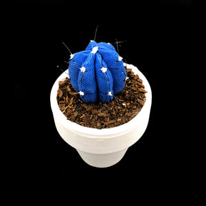 Mini Cactus - S - Colección BÁSICOS / Azul