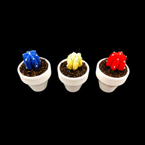 Mini Cactus - S - Colección BÁSICOS / Azul