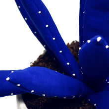 Cargar imagen en el visor de la galería, Aloe vera - L - Azul YVES KLEIN
