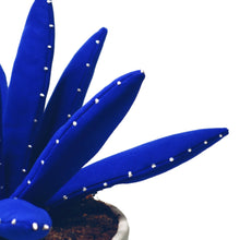 Cargar imagen en el visor de la galería, Aloe vera - L - Azul YVES KLEIN