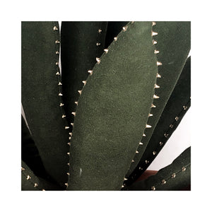 Aloe Vera - L - Verde oscuro