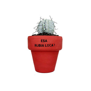 Mini Cactus - S - Personalización por Encargo