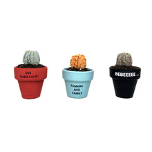 Cargar imagen en el visor de la galería, Mini Cactus - S - Personalización por Encargo