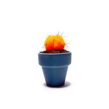 Cargar imagen en el visor de la galería, Mini Cactus - S - Naranja Fluorescente