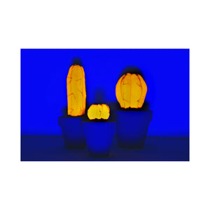 Mini Cactus - S - Naranja Fluorescente