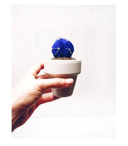 Mini Cactus - S -  Azul YVES KLEIN