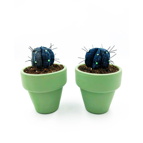 Mini Cactus - S - Vaquero Oscuro
