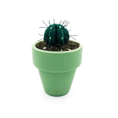 Mini Cactus - Verde Oscuro