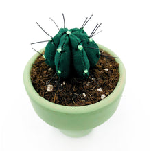 Cargar imagen en el visor de la galería, Mini Cactus - Verde Oscuro