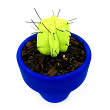 Cargar imagen en el visor de la galería, Mini Cactus - S -  Amarillo Fluorescente