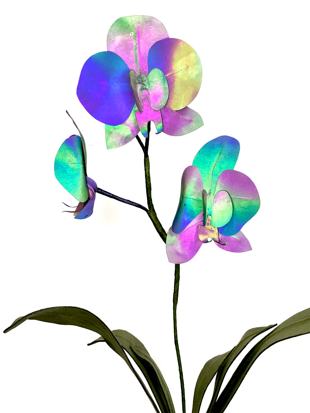Orquideas - Reflectante Iridiscente