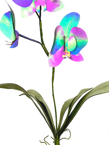 Orquideas - Reflectante Iridiscente