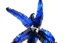 Cargar imagen en el visor de la galería, Helecho - M - Azul brillo