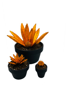 Mini Cactus - S - Naranja Brillo