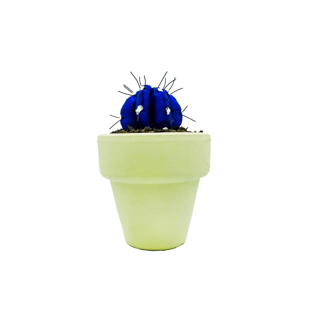 Mini Cactus - S - Azul Brillo
