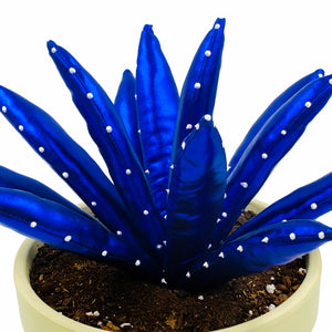 Aloe Vera - L - Azul Brillo