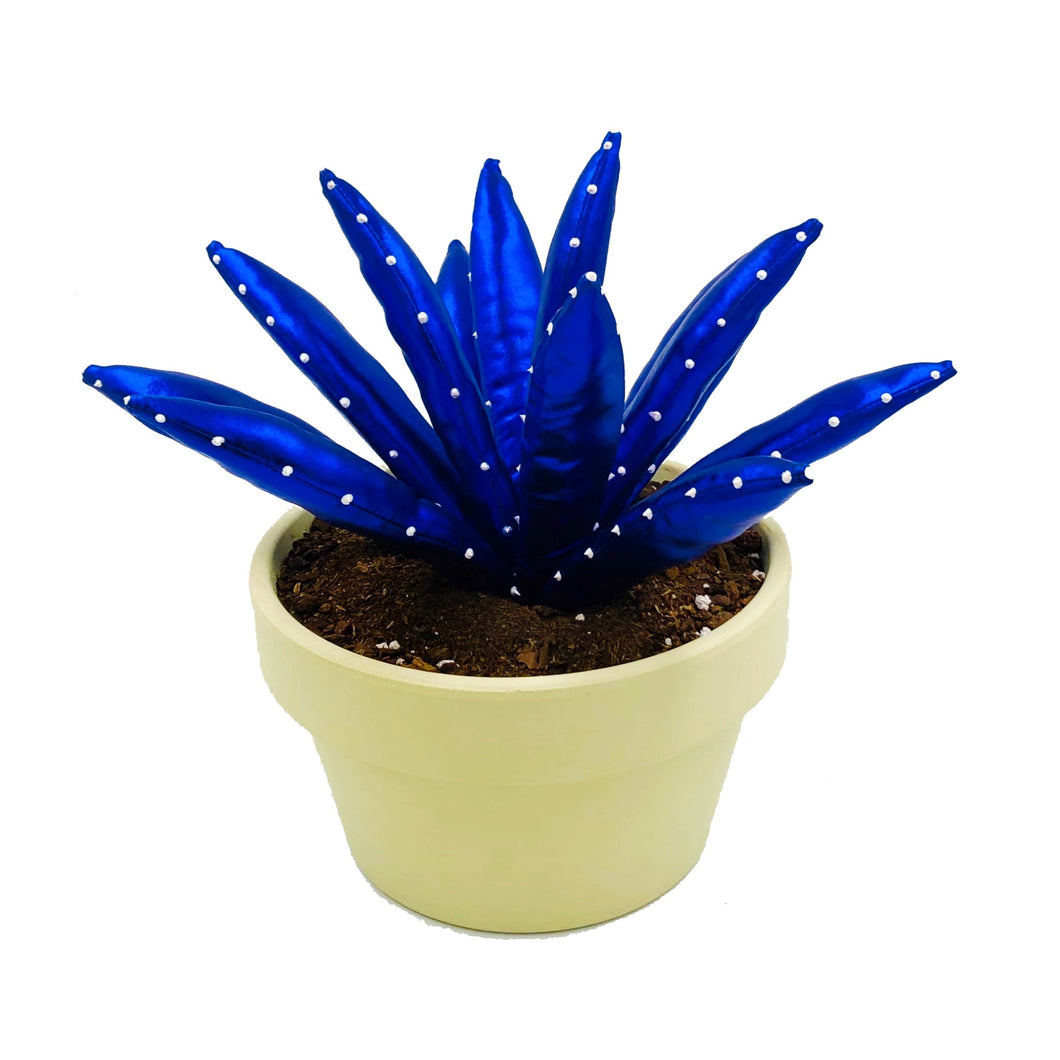 Aloe Vera - L - Azul Brillo