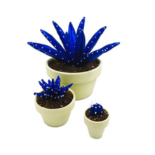 Cargar imagen en el visor de la galería, Mini Cactus - S - Azul Brillo