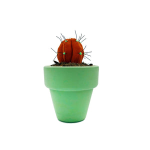 Mini Cactus - S - Teja
