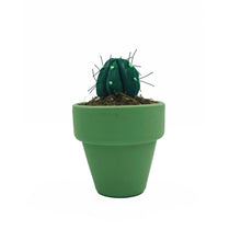 Cargar imagen en el visor de la galería, Mini Cactus - S - Verde Oscuro