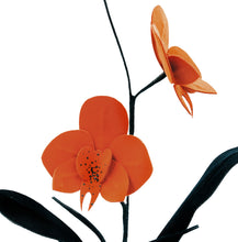 Cargar imagen en el visor de la galería, Orquídea teja y negro terciopelo