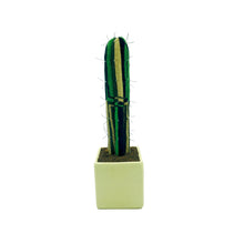 Cargar imagen en el visor de la galería, ¨ Planta de los recuerdos ¨ - Cactus San Pedro